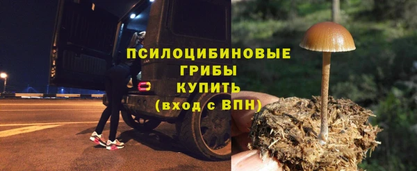 jwh Сясьстрой