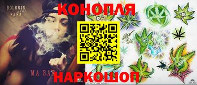 шишки Партизанск