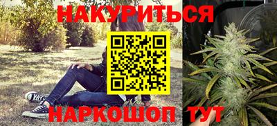 шишки Партизанск