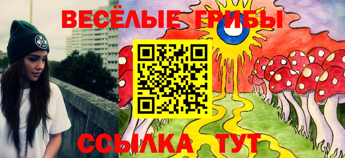 Codein Шали