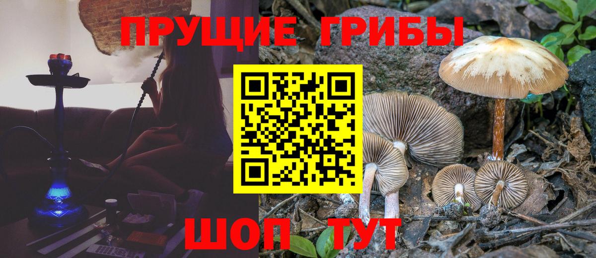 Псилоцибиновые грибы мухоморы  закладка  Вход с VPN  Шали  Галлюциногенные грибы Psilocybine cubensis 