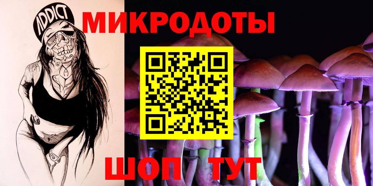 купить наркоту  Шали  Галлюциногенные грибы мицелий 