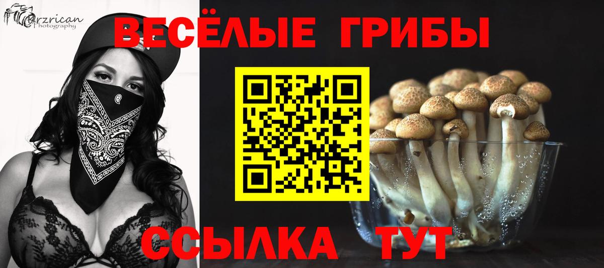 NBOMe  ГАШ  MDMA  Вход с VPN  Кокаин  Конопля  Марихуана  Шали  Меф МЯУ МЯУ  