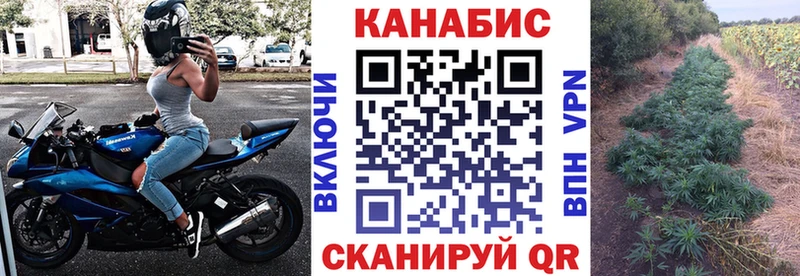 наркота  Шали  Конопля индика 